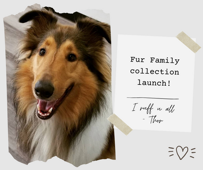 Fur Family Collection Launch - Luxury with a Good Cause