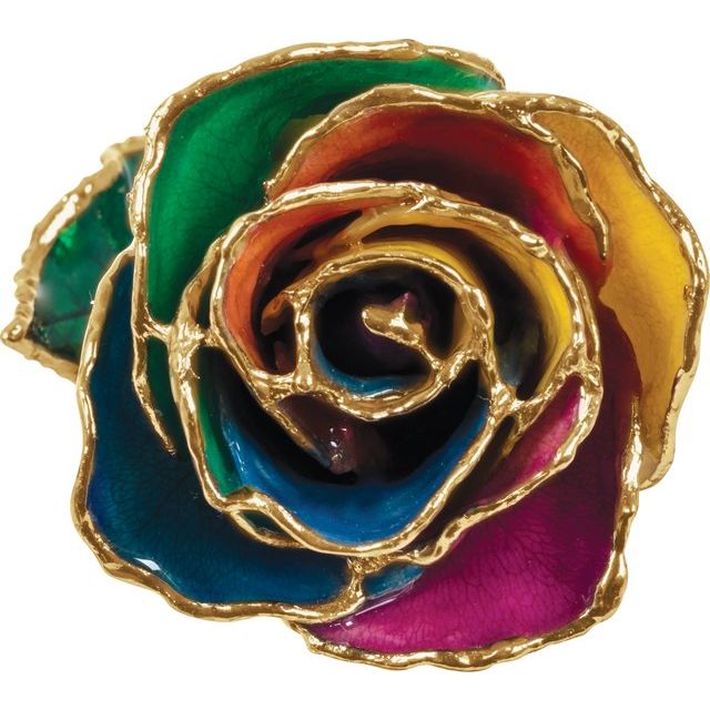 Everlasting Rainbow Rose