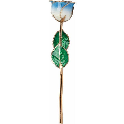 Everlasting Blue Cream Ombre Rose