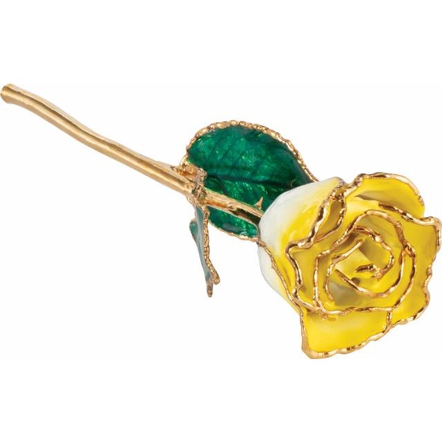 Everlasting Yellow Cream Ombre Rose
