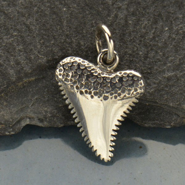 Shark Tooth Charm