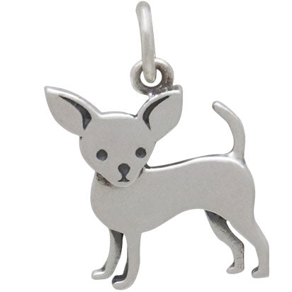 Chihuahua Charm