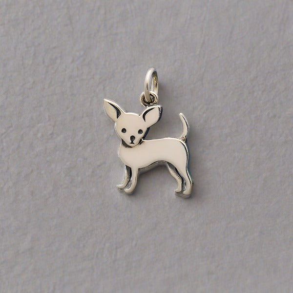 Chihuahua Charm