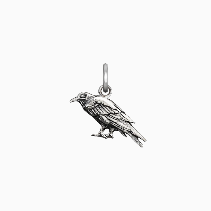 Raven Charm