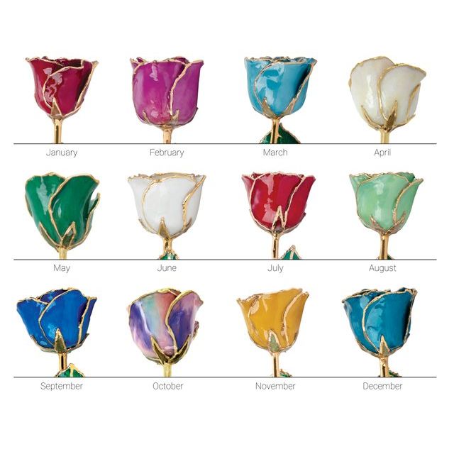 A display menu of Everlasting Roses. There are twelve of them, one coloured for each birhtstone.