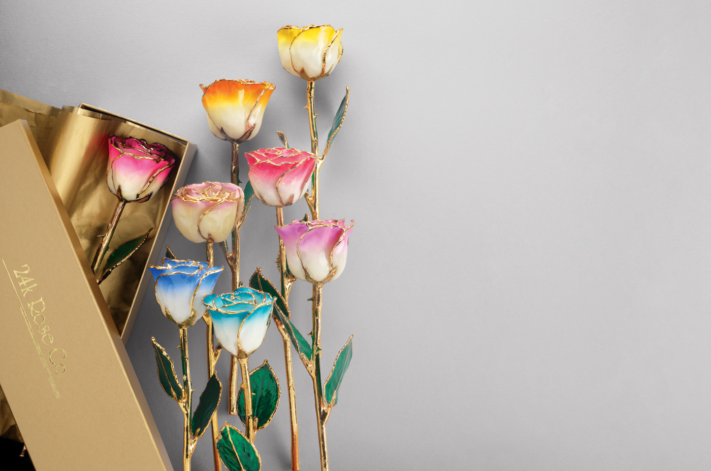 A selection of beautiful Everlasting Roses. Each with a white base, with a gradient going up to a vibrant pastel colour on top. Each is hand painted with 24K gold trim.